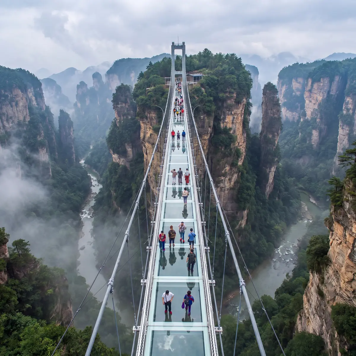 Getting to Zhangjiajie: A Local's Guide to Avoiding the Airport 'Shark Tank'