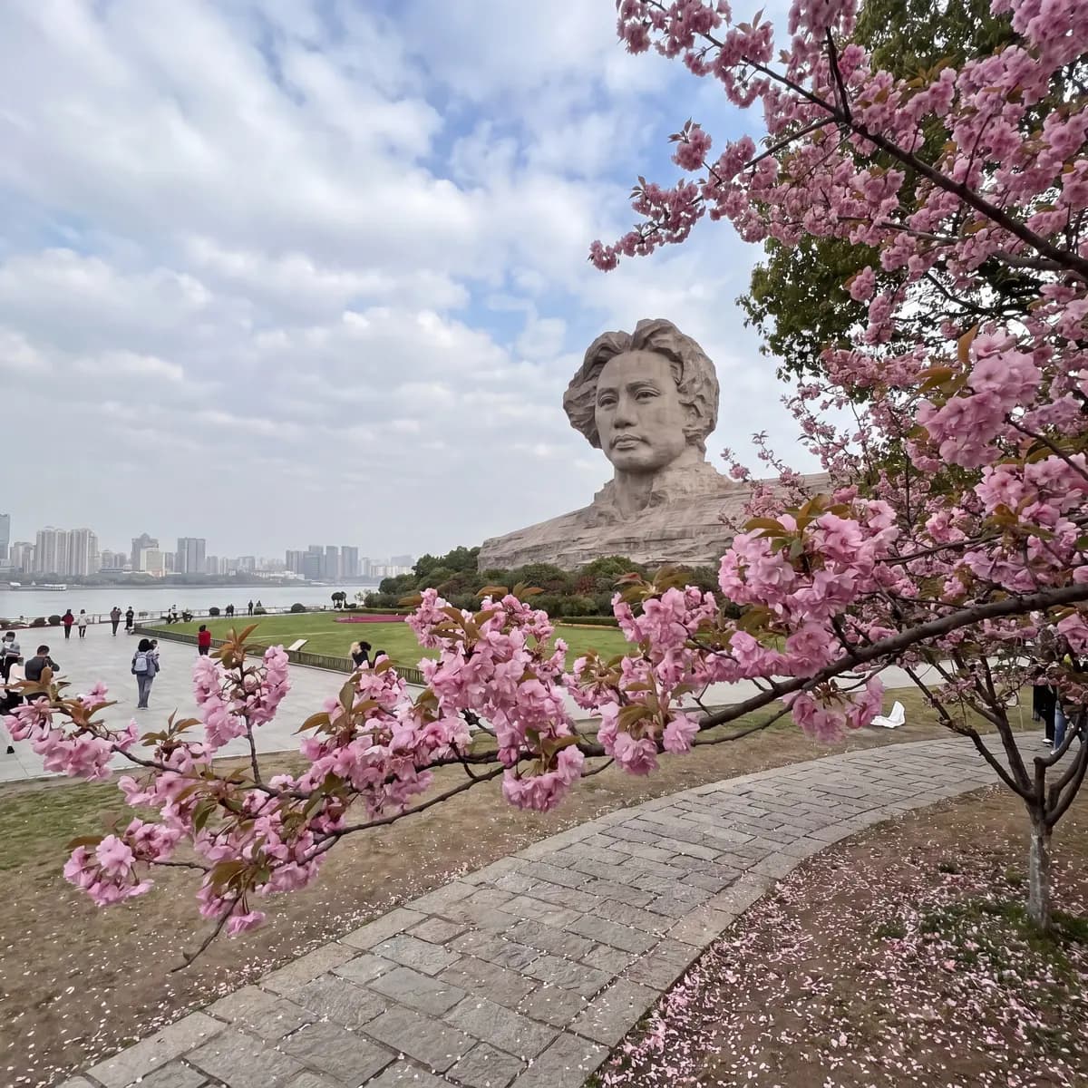 Spring in Hunan (Mar - May): Green Awakening & Misty Peak Dreams
