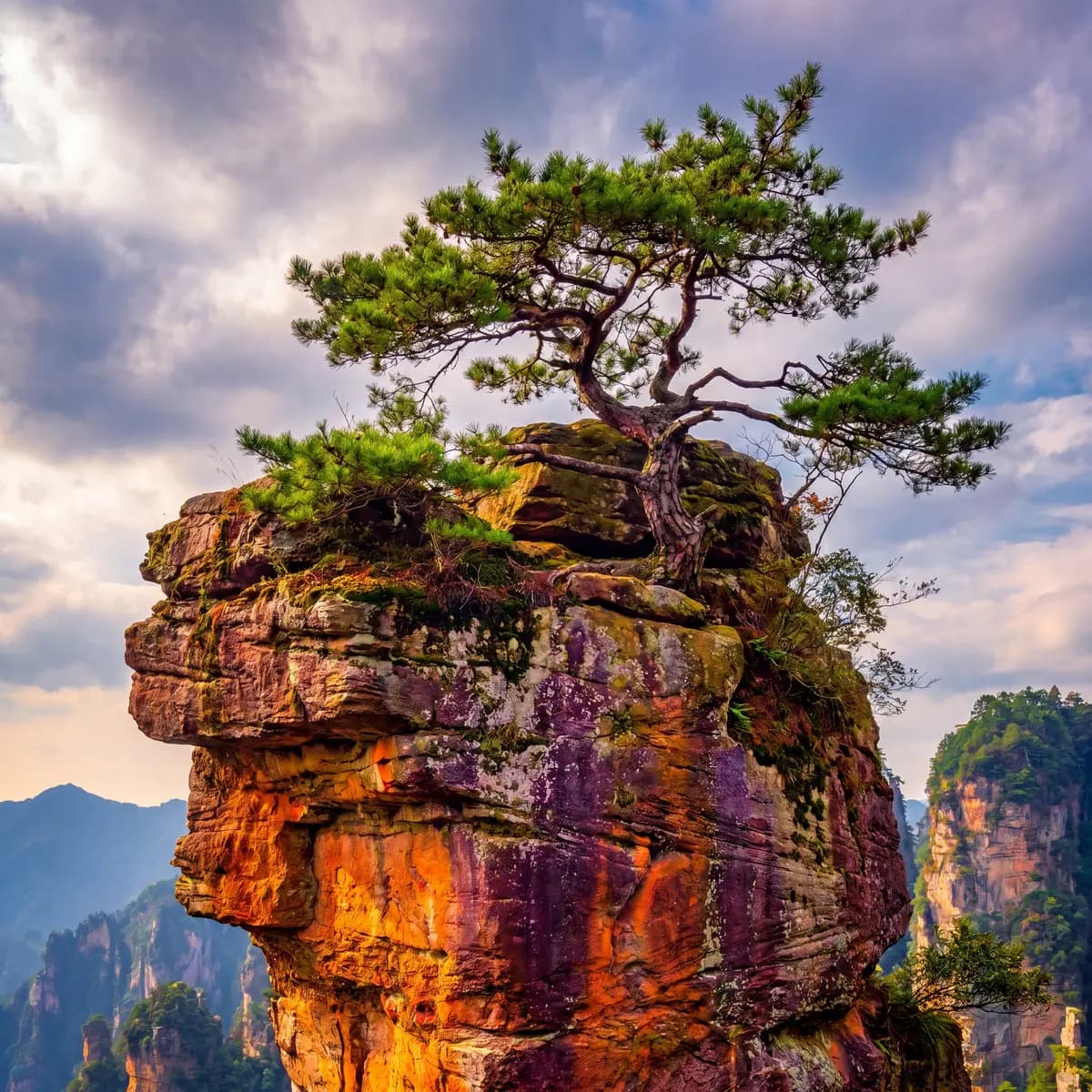 Zhangjiajie: The Real "Avatar" World Through a Local's Eyes